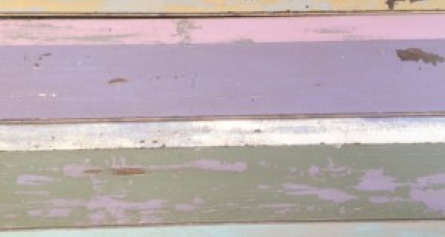 Reclaimed Worn Wood/Distressed Painted Wall Cladding