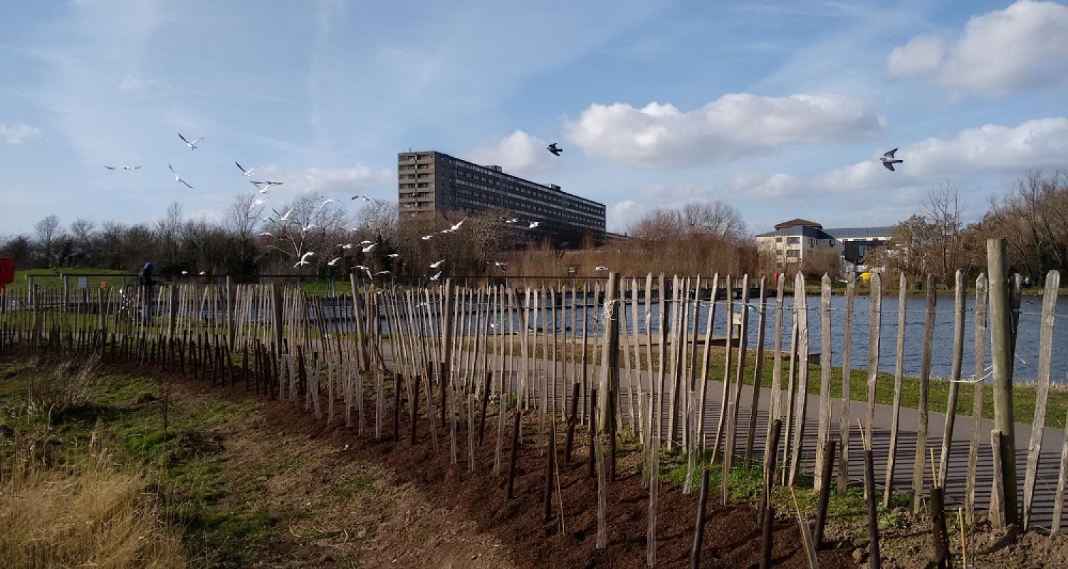 We don´t just Reclaim – We Replant too