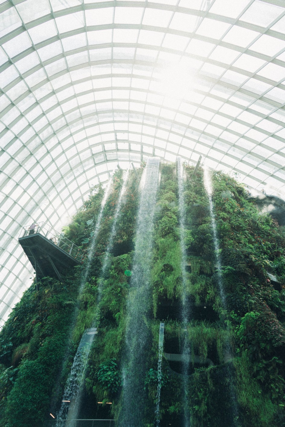 What is Biophilic Design? - How Architecture and Interior Design can