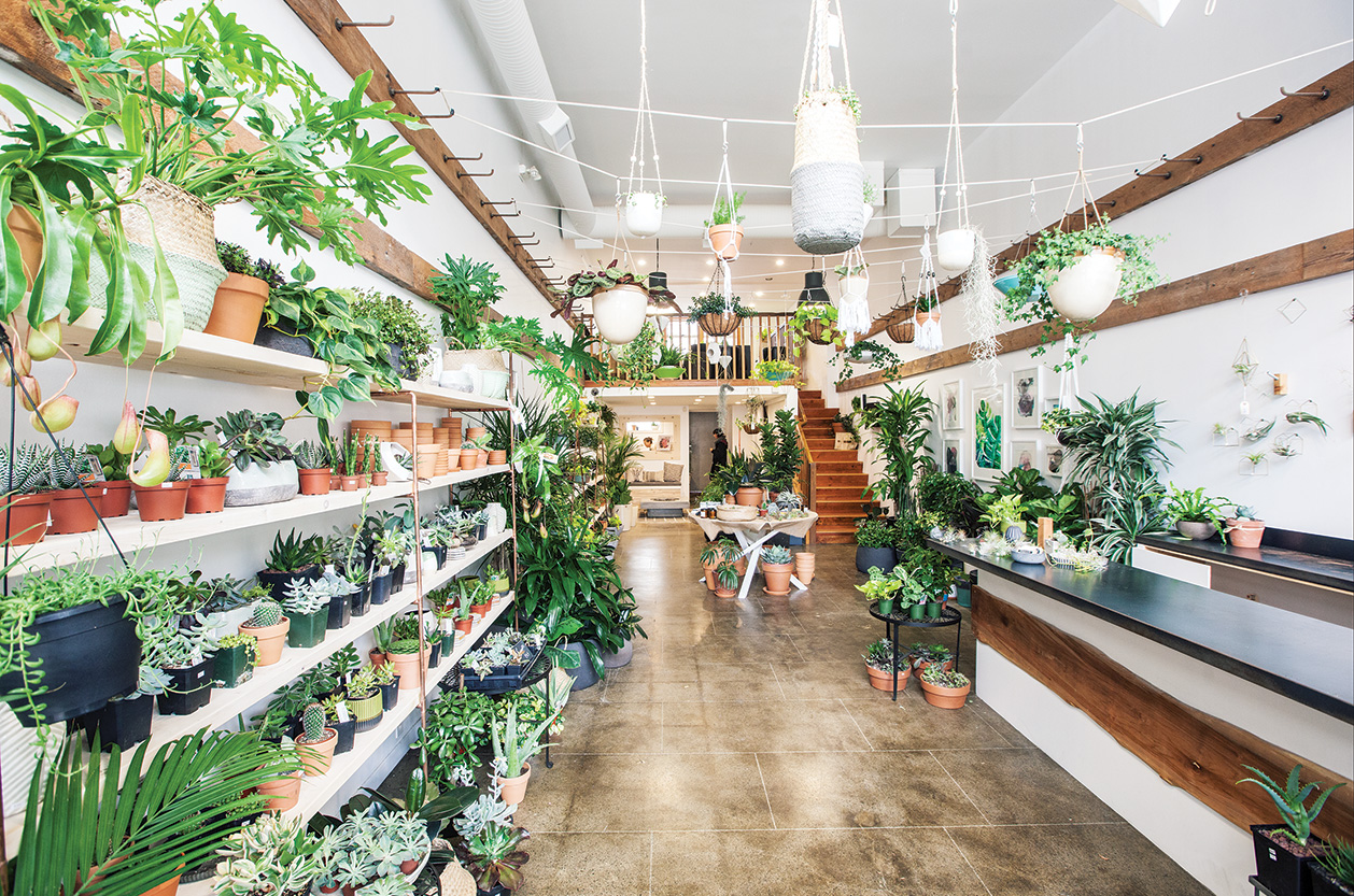 The Benefits of Biophilic Design in Retail Spaces - The New & Reclaimed